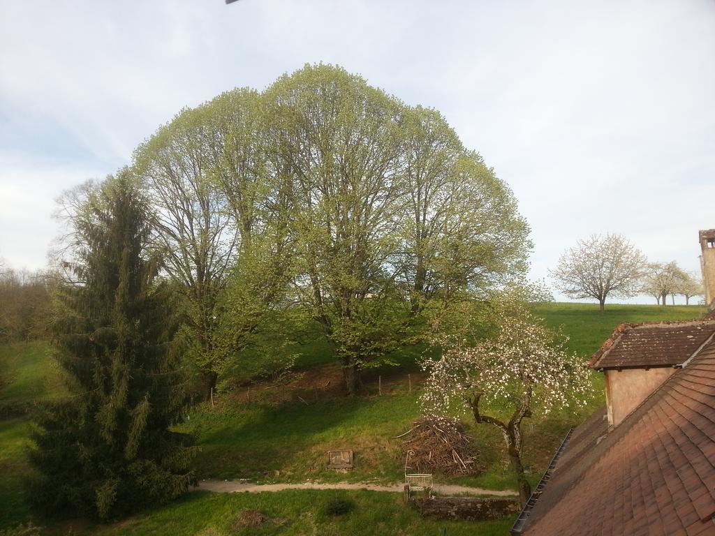 Gite 3 Du Chateau De Feschaux Villeneuve-sous-Pymont Екстериор снимка