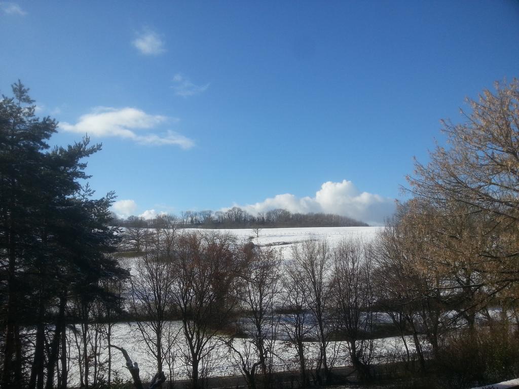 Gite 3 Du Chateau De Feschaux Villeneuve-sous-Pymont Екстериор снимка