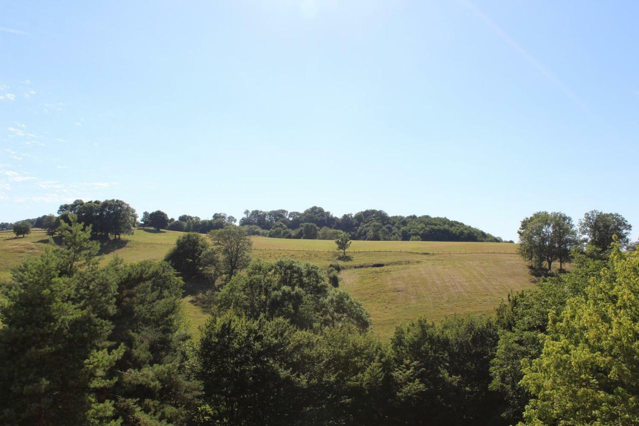 Gite 3 Du Chateau De Feschaux Villeneuve-sous-Pymont Екстериор снимка