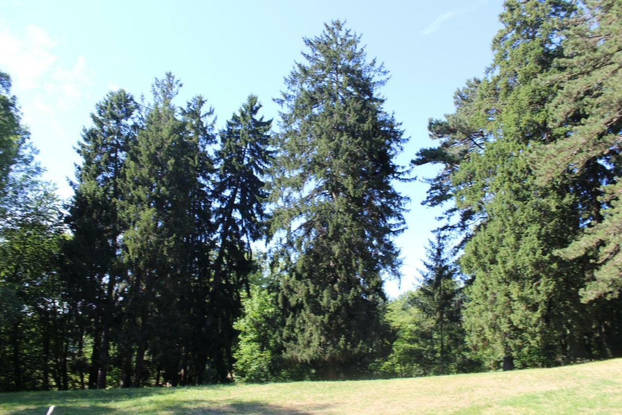 Gite 3 Du Chateau De Feschaux Villeneuve-sous-Pymont Екстериор снимка